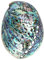 Veemoon Abalone-Meeresmuschel Accessoires,Große Abalone-Schale Für Hochzeit- Heimdekorationen DIY Decorative Accessoires Party