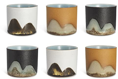 DigiTizerArt Set di 5 tazze da tè in ceramica tradizionale cinese disegnato a mano tazze da tè, piante e frutta modello cinese Kung Fue, tazza da tè sfuso in confezione regalo