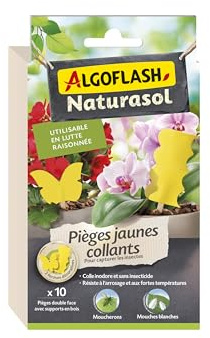 ALGOFLASH NATURASOL Pièges Jaunes Collants contre les Insectes, 10 Stickers | Utilisable en lutte raisonnée. Colle inodore & sans insecticide. Résiste à la chaleur et aux arrosages. Facile d’utilisation.