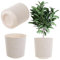 KADAX Pot de fleurs décoratif - Rond - En plastique - Pour la culture de plantes - Pour l'intérieur et l'extérieur - Crème - 19 cm