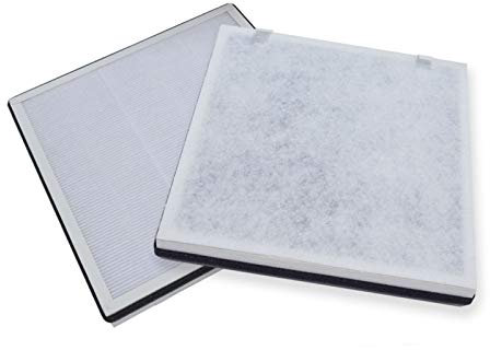 PUREBURG Ersatzfilter, kompatibel mit VAVA VA-EE004 Luftreiniger, 2 Stück, H13 HEPA, 4-stufige Filtration, Aktivkohle, 2-in-1, Luftreinigung, Staub, VOCs, Geruch