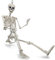 com-four® 160cm Deko-Skelett für Halloween - XXL-Gerippe aus Kunststoff zum Hängen - lebensgroßes Knochengerüst mit Grusel-Faktor für Halloween, Fasching, Mottopartys (XXXL - 1 Stück - 160cm)