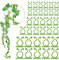 Winmany 100 Soportes para Plantas de 3 tamaños de Pared para Plantas de Vid de Pared, Gancho Autoadhesivo, Soporte de Vid de tracción Invisible, Clips de fijación de Verduras (100pcs Clip Verde)