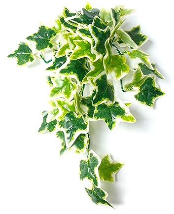 Dsoar Aquarium Decorations Plants Artificial Fake Plastic Water Grass Plants for Fish Tank Aquarium Decor Artificial Hanging Plants (White edge, 12INCH)