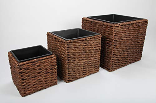 point home, 3 x Blumenkübel, Pflanzkübel, Pflanzgefäss, Wasser-Hyazinthe, für Innen