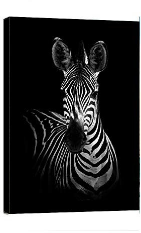 Dafun Art - Abstrakte Poster Wandkunst Schwarz Weiß Tier Schöne Zebras Leinwanddruck Rahmen Bild Gemälde für Büro Flur Heimdekoration Kinderzimmer Geschenk - 30,5 x 40,6 cm