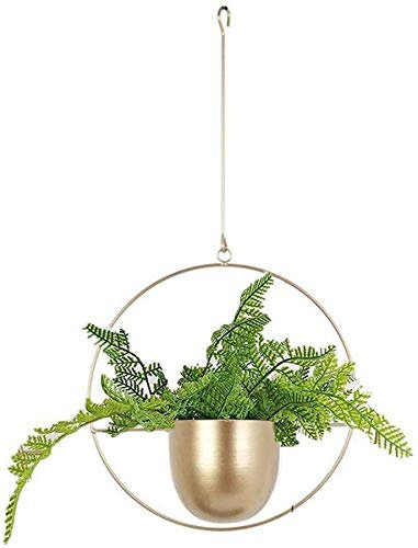 LAMEIDA Blumentopf zum Hängen Blumenampel Golden Rund Metall Hängend Blumentopf Eisen Kunst Pflanzkorb Hängende Pflanzgefäße für Zimmerpflanzen