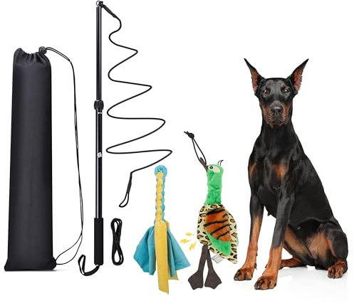 KOXXUD Reizangel Hunde, Profi Reizangel für Kleine, Mittelgroßer, Große Hunde, Martin Rütter für Ultimativen Spielspaß & Körperliche Auslastung (Seilstreifen + Ente)