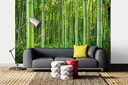 WTD Mantiburi Papier peint photo non tissé Motif forêt de bambou 375 x 250 cm (avec colle) – Papier peint non tissé – Papier peint mural – Prêt à être monté