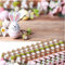 matches21 Frühlingshafte Tischsets Platzsets Motiv abwaschbar Osterhase Kirschblüten Holzbrett bunt 12er 43,5x28,5 cm