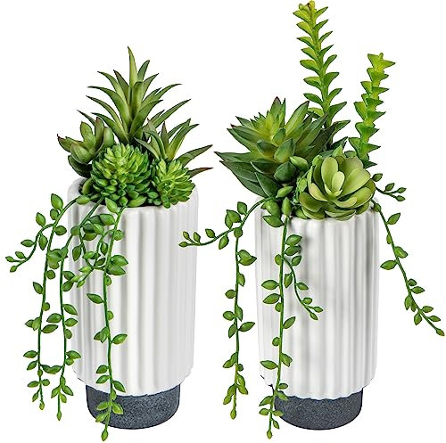 2 Stück Sukkulente Künstliche Pflanze im Topf, Deko Pflanzen Künstliche im hoher Topf , Kunstpflanze Hängend Eukalyptus, plastik Pflanzen der Herzblatt für Schlafzimmer Wohnzimmer Büro Deco #3