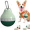 Dog Travel Water Bottle Detachable Bowl Leak Proof Portable ，Silicone Bottle Body，Collapsible and Suitable for Small Pets for Outdoor Walking, Hiking, Travel