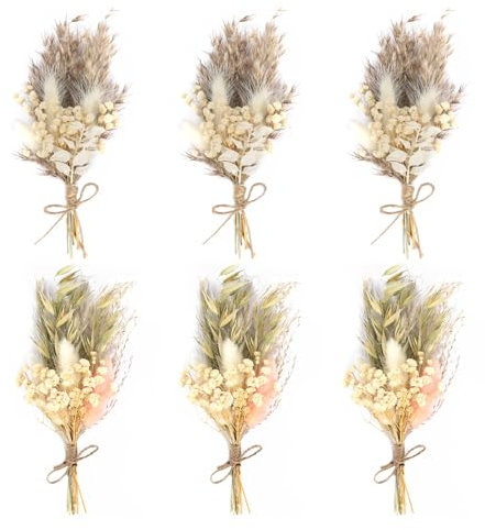 Trockenblumenstrauß Klein 6 Bündel Mini Getrocknete Blumenstrauss Trockenblumen zum Basteln Getrocknete Blumen Natürliche Mini trockenblumen für DIY Bilderrahmen Scrapbooking Hochzeitsdekoration