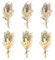 Trockenblumenstrauß Klein 6 Bündel Mini Getrocknete Blumenstrauss Trockenblumen zum Basteln Getrocknete Blumen Natürliche Mini trockenblumen für DIY Bilderrahmen Scrapbooking Hochzeitsdekoration