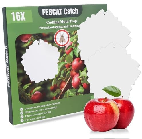 Apfelmadenfalle 16 Stück, Obstmadenfalle(20 * 20cm), Mottenfalle für Apfelwickler, Bekämpfen Sie effektiv den Apfelwickler und schützen Sie Äpfel Birnen Walnüsse und Aprikosen MEHRWEG