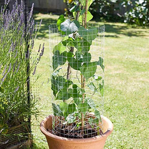 Garden Mile® Panneau de treillis soudé galvanisé - Différentes tailles - Panneaux en tôle d'acier soudés carrés (25 mm, 0,6 x 0,9 m)