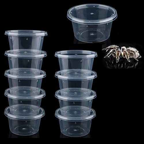 10 Stück Spinnen-Terrarien Zuchtbox klein rund Brutbehälter Acryl Futterbox für Spinne Skorpion Tausendfüßler Insekten
