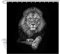 NYMB - Rideau de douche lion - Animal sauvage - Lion africain sur fond noir - Tissu imperméable - Accessoires de salle de bain - Avec crochets - 69 x 70 cm