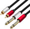 Yeung Qee 2 x 6.35 mm to 2 RCA Stereo Audio Interconnect Cable,Dual 1/4 inch TS Stereo Jack Male to 2 RCA Male Stereo Audio Cable Splitter Adapter Cable (3M), Gold