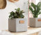 Übertopf Cube aus Beton, grau, Pflanztopf, Blumentopf, Pflanzgefäß in Würfel-Form, Blumenkübel für Zimmerpflanzen, Deko für Wohnzimmer und Küche