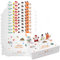 KASESSS 10 Stück Geschenkbox Weihnachten, Faltbare Geschenkkarton, Geschenkverpackung Mit Deckel, Box 15x9x4CM für Hochzeit, Geburtstag, Partei