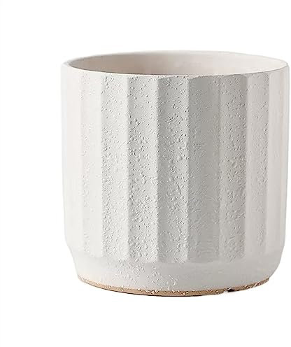 LIBANGRONG-888 Blumentöpfe, zylindrisch, einfarbig, große einfache Sukkulenten, grüne Pflanzen, gerade Pflanzgefäße, Wohnzimmer, Balkon, Ausstellung, Blumentopf, Farbe: B, Größe: M