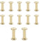 JJWNMLL Lot de 12 vis Chicago M5x20mm Chicago Vis de reliure Chicago Rivet à clous en métal Vis Chicago à tête cruciforme pour ceinture en cuir Bricolage Livre de scrapbooking - Couleur or