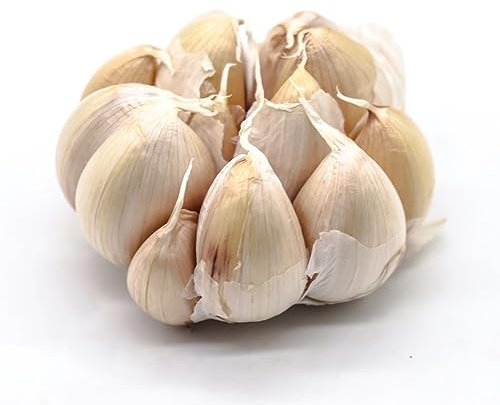 2 Pcs pflanzknoblauch winterhart - steckknoblauch - anzuchtset gemüse, pflanzen für sonnige plätze knoblauch zum pflanzen, kleine geschenke, winterfeste pflanzen für balkon kräutergarten