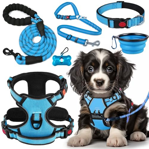 LOBEVE Anti-Zug Hundegeschirr Set mit Halsband & Leine | Inkl. Auto Sicherheitsgurt, Faltbare Näpfe & Kotbeutelspender | Für kleine bis große Hunde | Ideal für Spaziergänge, Training & Reisen