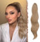 FESHFEN Pferdeschwanz Extensions Klammer, 50 cm Hair Extensions Zopf Lang Pferdeschwanz Haarteil Clip Gewellt Extensions Zopf Blond und Aschblond Gemischt Pferdeschwanz Haarverlängerung für Frauen