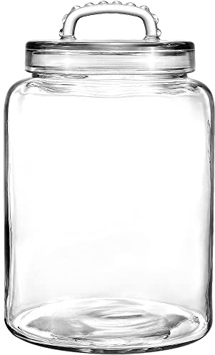 3 Gallon Glass Jar with Airtight Lid, Wide Mouth Large Glass Container