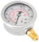 Hyuduo Liquid Filled Hydraulic Pressure Gauge, 2-1/2 Dial Size 0~600 Bar/0-8500Psi G1/4 Lower Mount Pressure Gauge,Pressure Gauge