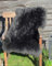 Felltrade Merino Schaffell Lammfell echtes Fell in tollen Farben 110-120 cm ökologische Gerbung (anthrazit)