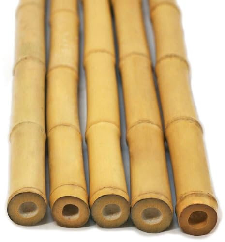 FlickBuyz Bamboo Canes - Plant Supports for Outdoor Plants – All Lengths 2,3,4,5,6,7 & 8ft Garden Canes, Heavy Duty Professional Bamboo Sticks for Plants, Garden Plant Supports (5, 6ft, 14-16mm)