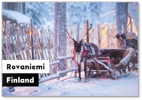 Rentier mit Schlitten im Winterwald in Rovaniemi, Lappland, Finnland Design 1, Kühlschrankmagnet