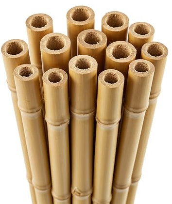 Blado Thick Bamboo Canes - Heavy Duty, Natural Garden Stakes, Strong Bamboo Sticks for Plant Support - Ideal for Gardens, Balconies, Patios, and Outdoor Spaces 2FT,3FT,4FT,5FT,6FT(10, 5ft, 14-16mm)