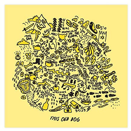 FABIVA Mac DeMarco Poster This Old Dog Album Cover Leinwand Poster Schlafzimmer Dekor Sport Landschaft Büro Zimmer Dekor Geschenk Rahmen 30 x 30 cm