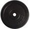 VirtuFit Gusseisen Hantelscheibe - Hantelgewicht - 30 mm - 10 kg - Schwarz