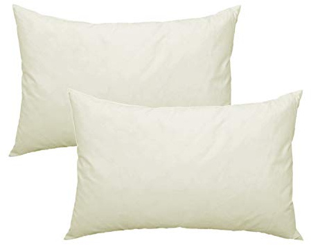 Haus und Deko 2er Pack Füllkissen Federn Kissen Inlett Kissenfüllung Kopfkissen Innenkissen Federkissen Baumwolle (50x60 cm)