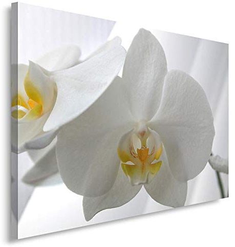 Feeby Bilder Orchidee 100x70 cm 1 Teilig Wohnzimmer Schlafzimmer Büro Flur Küche Wandbilder Leinwandbilder Modern Bild auf Leinwand Wanddekoration Design Natur Weiß