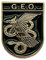 Pin Policía Nacional España Coleccionismo FFCCSS (GEO)