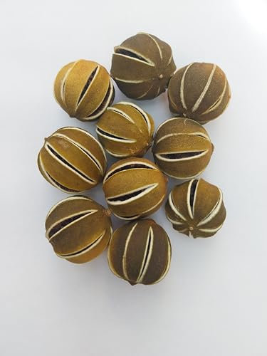 Dried Whole Green Limes, Fresh Citrus Scent, for Table Decorations, Floral Arrangements, Christmas Decorations, Potpourri, Wreaths, Home Decor