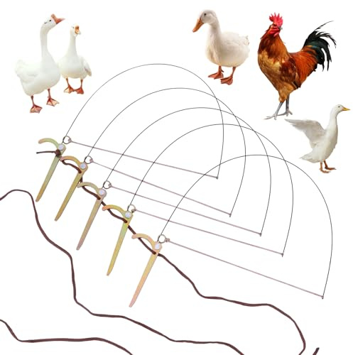 Trampa profesional para pájaros, trampa de caza para pájaros, trampa para pollo, faisán, pato salvaje, perdiz y otros pájaros que atan los pies de los pájaros, no los lastimarán
