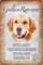 Schatzmix Blechschild Hunde Steckbrief Golden Retriever Metallschild Wanddeko 20x30 cm gewölbt, 4 Löcher, Hochwertiges Stahlblech, Lackierung, Abgerundete Ecken, Vintage-Style