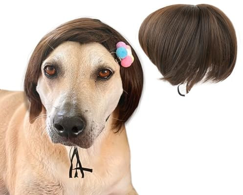 ds. distinctive style Lustige DIY-Hundeperücke Verstellbare Haustier-Perücke für Kleine bis Mittelgroße Hunde