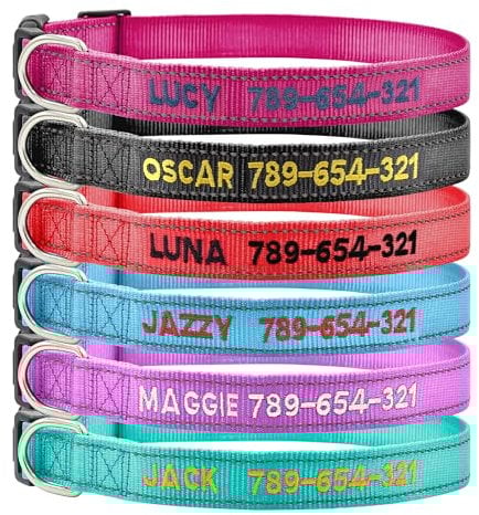Hundehalsband Personalisiert Reflektierend Bestickt mit Namen und Telefonnummer für Extra klein Klein Mittel Groß Hunde