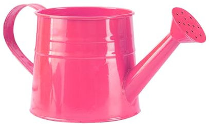 Gießkanne Klein Giesskanne Metall,GießKanne Zimmerpflanzen, GießKanne Aus Metall Gartengießkanne mit dem Brausekopf Vintage Deko Garten Giesskanne Potdecorative für das Gießen der Zimmerpflanzen