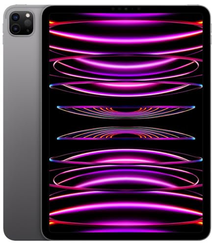 2022 Apple iPad Pro 11 (Wi-Fi, 1TB) - Grigio siderale (4ª generazione)