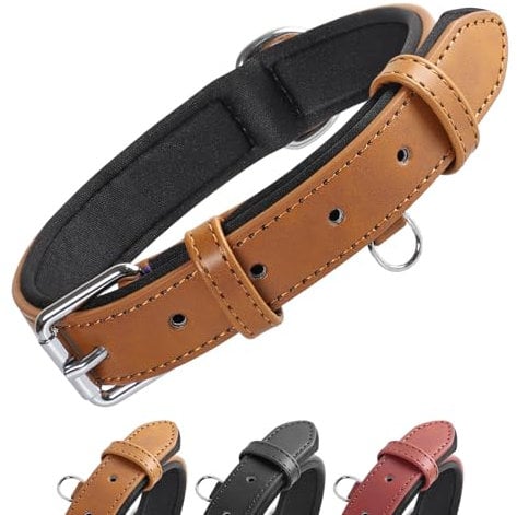 Grand Line Leder Hundehalsband, Lederhalsband Hund mit Weichem Gepolstertes, Breiter und Dicker Hundehalsband, Verstellbares Halsband Hunde für Kleine, Mittlere, Große Hunde (Braun, L)