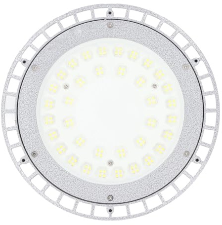 Lampe de Travail LED Antidéflagrante, 100 W 12 000 Lm, étanche IP66 avec Couvercle en Verre, Coque en Aluminium moulé Sous Pression, Lampe D'éclairage Industriel pour Usine,